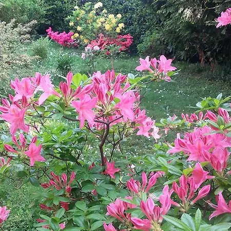 Bed & Breakfast Gloria Gallarate