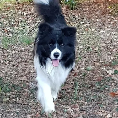 Gloria ベッド・アンド・ブレックファスト