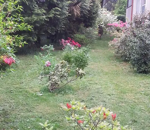 Oda ve Kahvaltı Gloria
